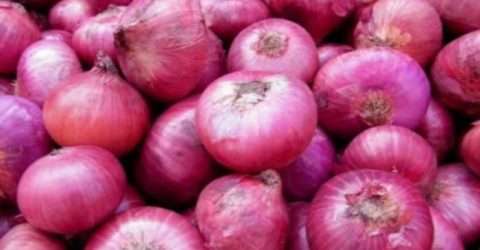 ভারতীয় পেয়াজ আমদানীর খবর শুনে বাংলাদেশের পেয়াজের বাজার ধ্বস