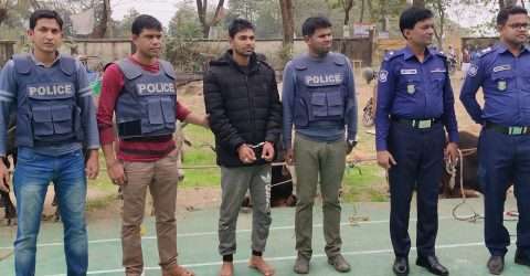 কোম্পানীগঞ্জে ভারতীয় গরু চুরাকারবারী আটক,১৭ গরু উদ্ধার