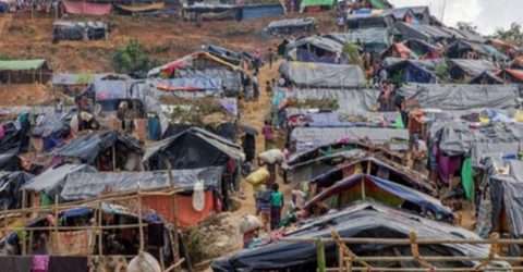 র‍্যাবের সাথে বন্ধুকযুদ্ধে ৭ রোহিঙ্গা ডাকাত নিহত