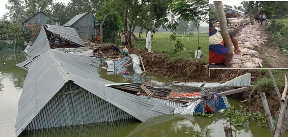 কালবৈশাখী ঝড়ে লন্ডভন্ড কবির এগ্রো: ১৫লক্ষ টাকার ক্ষয়-ক্ষতি