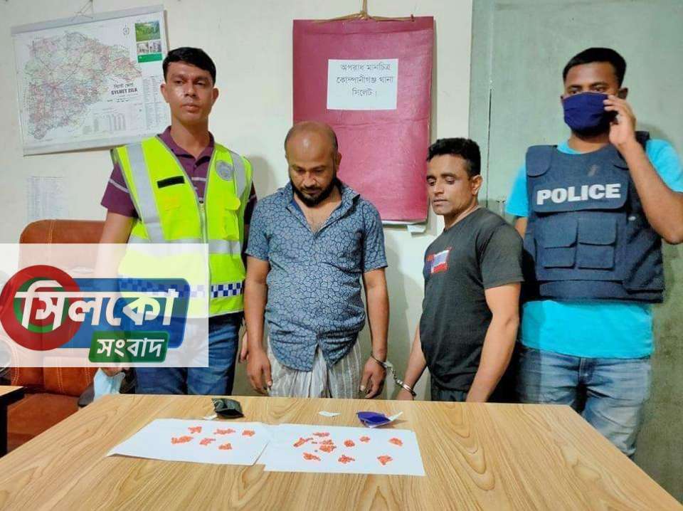 কোম্পানীগঞ্জে ইয়াবাসহ ২ মাদক ব্যবসায়ী আটক