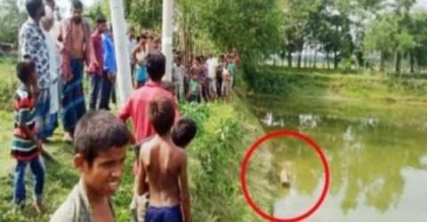 বিদ্যুৎস্পৃষ্টে দুই ভাইয়ের মৃত্যু