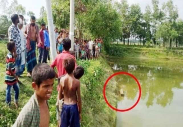 বিদ্যুৎস্পৃষ্টে দুই ভাইয়ের মৃত্যু