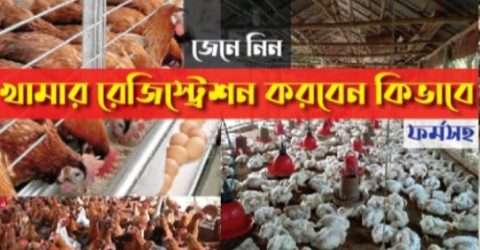 হাস/মুরগীর খামার রেজিষ্ট্রেশন করবেন কিভাবে জানুন