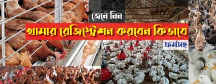 হাস/মুরগীর খামার রেজিষ্ট্রেশন করবেন কিভাবে জানুন
