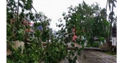 ঘূর্ণিঝড় আম্পানে দেশে ৫ জনের মৃত্যু