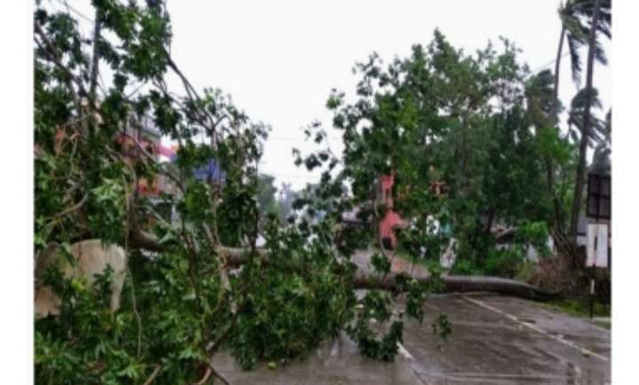 ঘূর্ণিঝড় আম্পানে দেশে ৫ জনের মৃত্যু