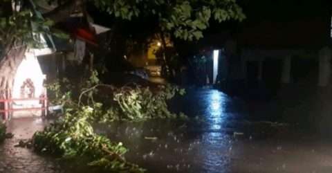 ঘূর্ণিঝড় আম্পানে ভারতের পশ্চিমবঙ্গে ১২ জন নিহত