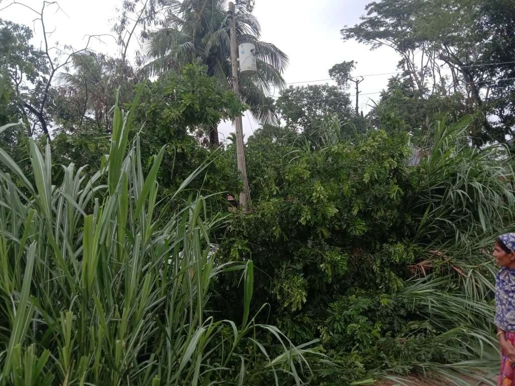 ঝড়ের কবলে মন্দীর,বিদ্যুৎহীন কোম্পানীগঞ্জ