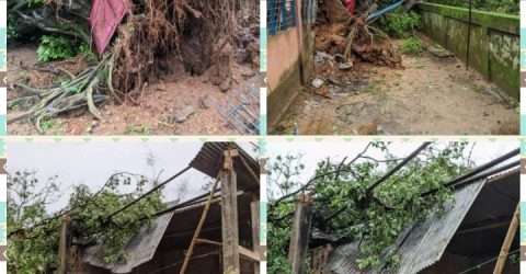 ঝড়ের কবলে মন্দীর,বিদ্যুৎহীন কোম্পানীগঞ্জ