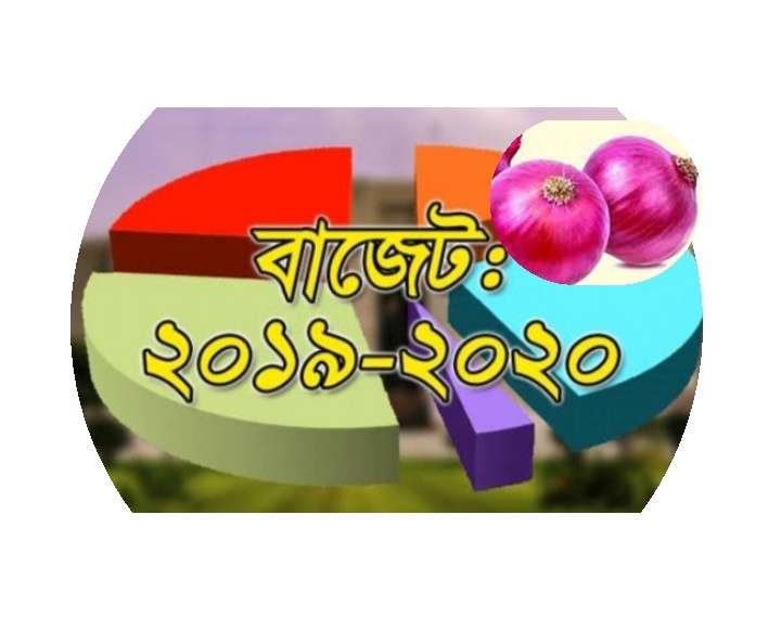 কৃষকদের পিয়াজ উৎপাদনে উৎসাহিত করতে আমদানীতে শুল্কারোপ বাড়াচ্ছে
