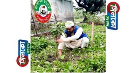 গাছ লাগান পরিবেশ বাচন,ওলামা লীগ নেতাকর্মীদের প্রতি মুফতি মাসুম বিল্লাহ’র আহ্বান