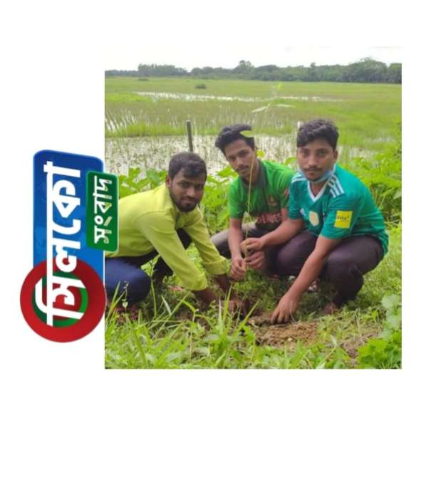 মুজিববর্ষে পটিয়া উপজেলা ছাত্রলীগের বৃক্ষরোপণ কর্মসূচী