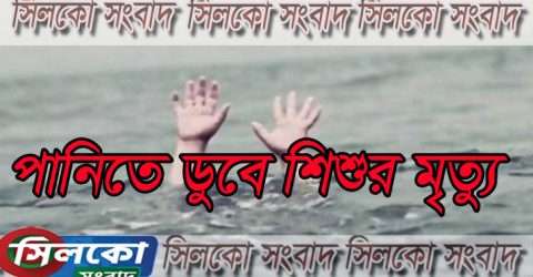 ধর্মপাশায় পানিতে ডুবে শিশুর মৃত্যু