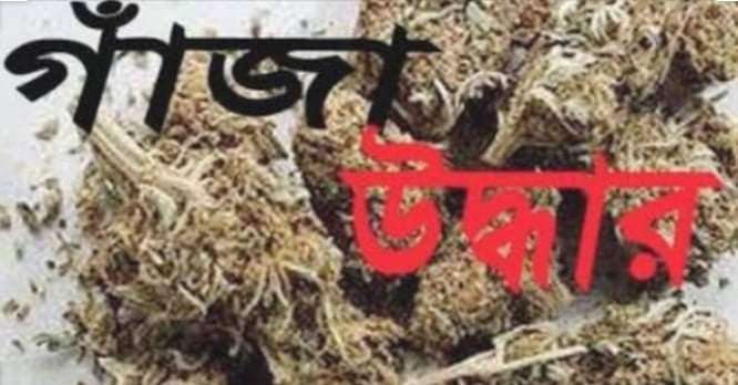 ধর্মপাশায় কেজি গাঁজাসহ মাদকব্যবসায়ী আটক