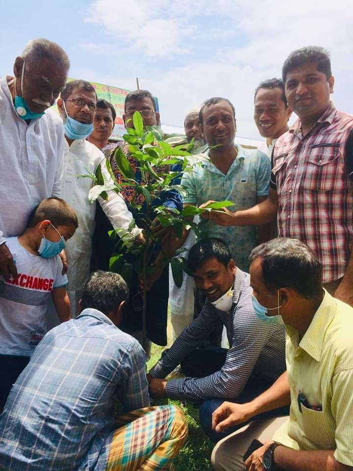 ধর্মপাশায় আঃলীগের ৭১তম প্রতিষ্ঠার্ষিকীতে ফলজ ও বনজ গাছের চারা রোপন