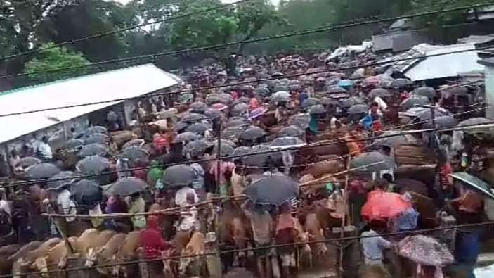 করোনাকে উপেক্ষা করে ধর্মপাশায় গরু-ছাগলের হাটে অতিরিক্ত ক্রেতাসমাগম
