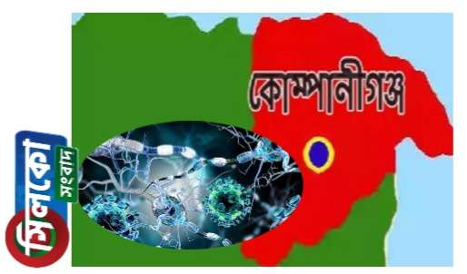 কোম্পানীগঞ্জের করোনা পরিস্থিতি ভয়াবহের দিকে এগুচ্ছে,নতুন আক্রান্ত ৪ মোট ১৫ জন
