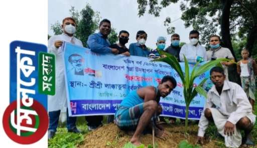 মুজিব শতবর্ষে কোম্পানীগঞ্জের মন্দিরগুলোতে ফলজ বৃক্ষ রোপণ
