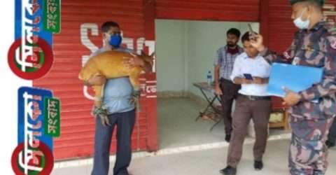 মানুষের তাড়া খেয়ে বন্যবাস ছেড়ে লোকালয়ে বিরল মায়া হরিণ