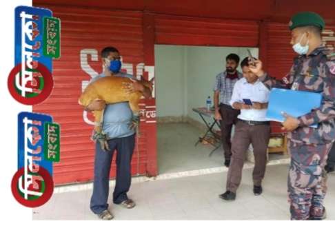 মানুষের তাড়া খেয়ে বন্যবাস ছেড়ে লোকালয়ে বিরল মায়া হরিণ