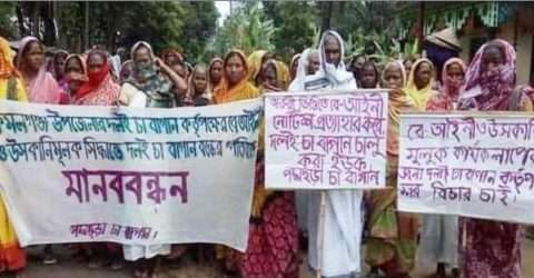 ধলই চা বাগানে খুলে দেওয়ার দাবীতে মানববন্ধন