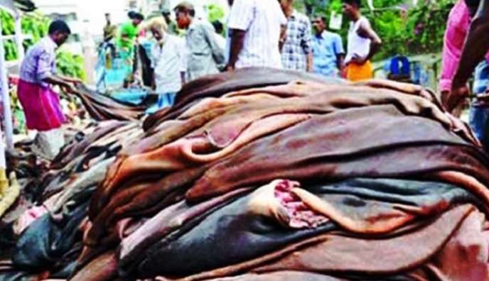 সিন্ডিকেটের কাছে চামড়ার বাজার ধরাসায়ী