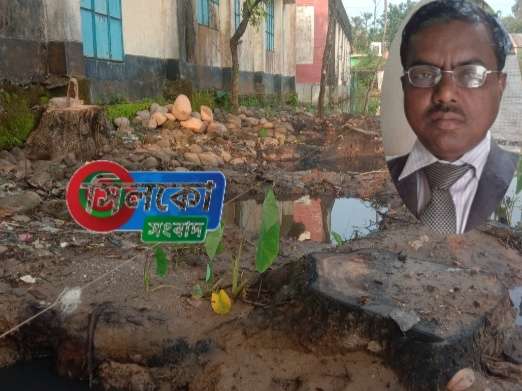 বিদ্যালয়ের লক্ষাধিক টাকা মূল্যের গাছ বিক্রি করে অর্থ আত্মসাৎ,নৈপথ্যে ভারপ্রাপ্ত প্রধান শিক্ষক বিপুল:পর্ব এক