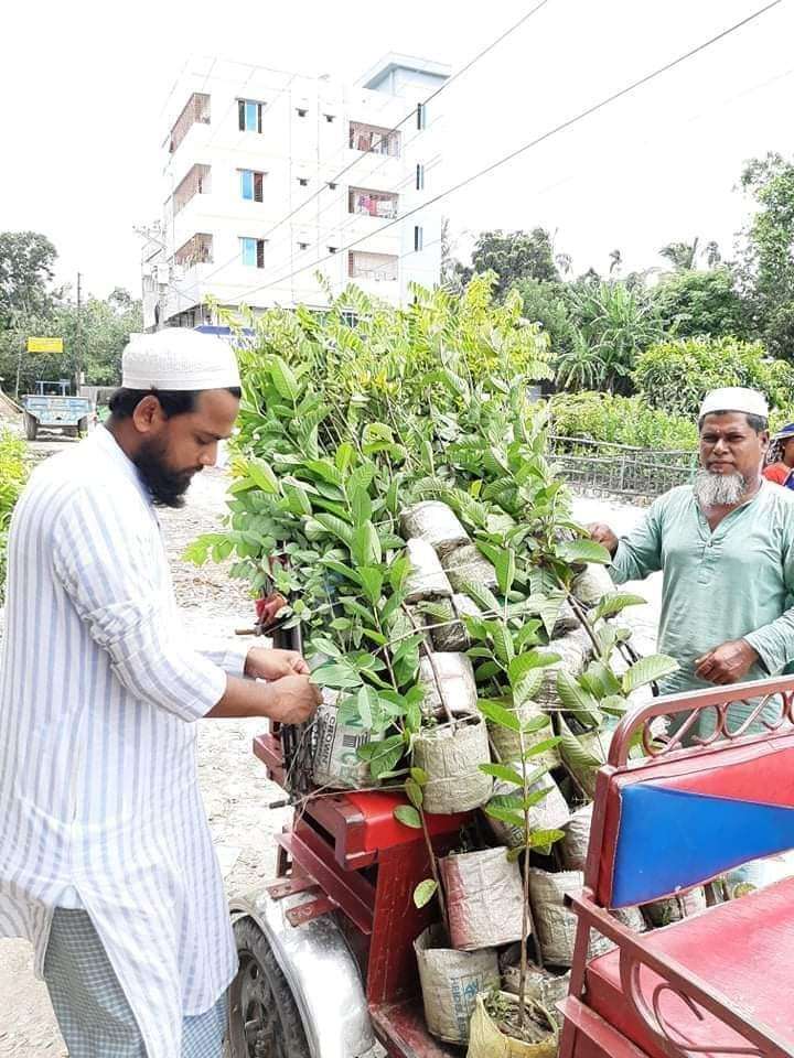 নবীনগর সাহারপাড় গ্রামের যুব ঐক্য সংঘের উদ্যোগে বৃক্ষ বিতরণ কর্মসূচি পালিত।