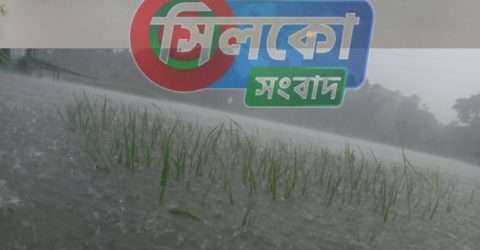 কোম্পানীগঞ্জে ৪র্থ দফায় বন্যায় রোপা আমনে ধ্বস নামার আশঙ্কা