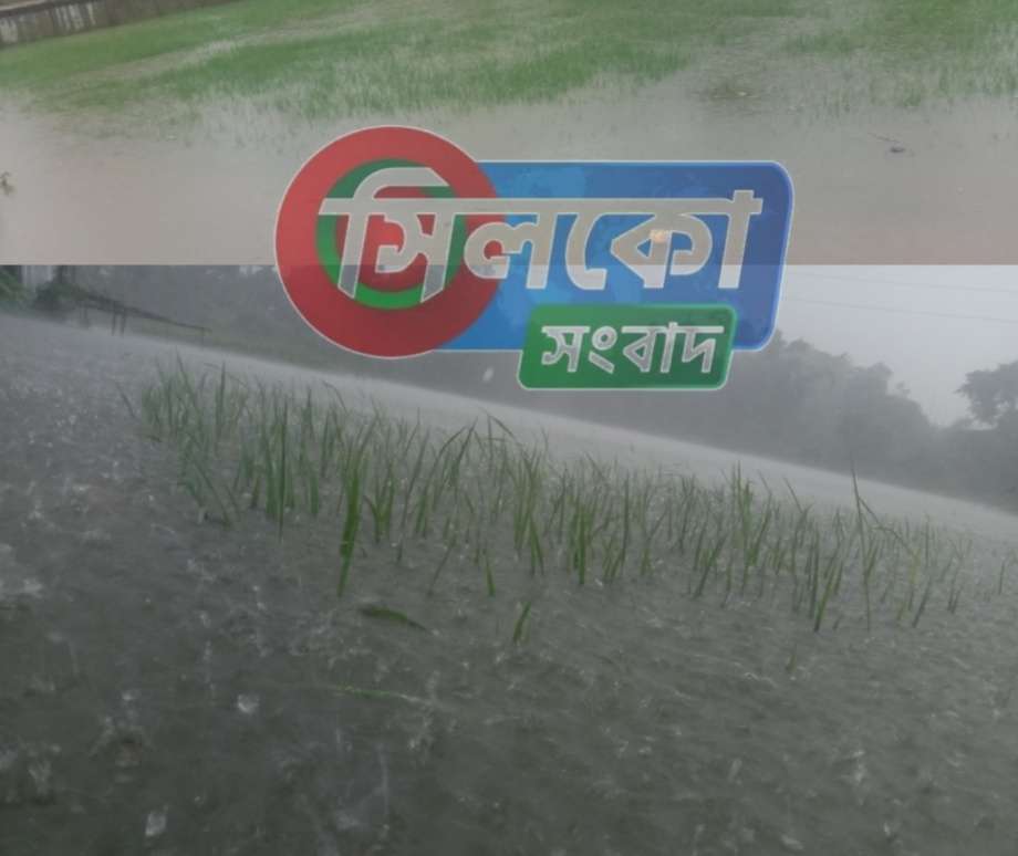 কোম্পানীগঞ্জে ৪র্থ দফায় বন্যায় রোপা আমনে ধ্বস নামার আশঙ্কা