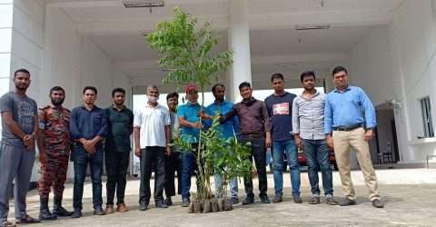 প্রধানমন্ত্রীর জন্মদিন উপলক্ষে মাদকমুক্ত নবীনগর চাই সংগঠনের বৃক্ষরোপন কর্মসূচী পালন