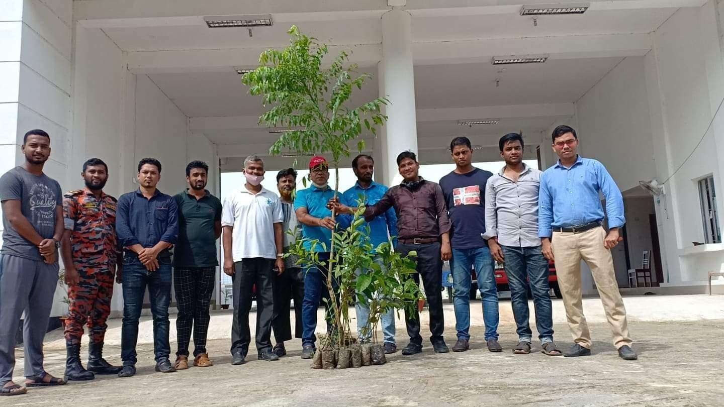 প্রধানমন্ত্রীর জন্মদিন উপলক্ষে মাদকমুক্ত নবীনগর চাই সংগঠনের বৃক্ষরোপন কর্মসূচী পালন