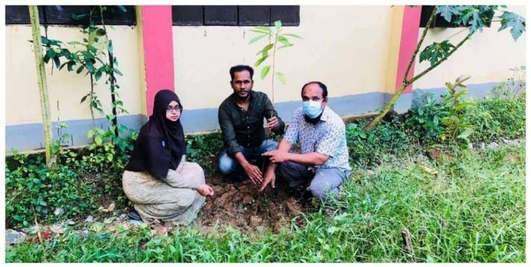 গোলাপগঞ্জের নিজ লক্ষণাবন্দ সঃ প্রাঃ বিদ্যালয়ে বৃক্ষ রোপন কর্মসূচীর উদ্বোধন