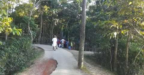 পাকা রাস্তার উপর বিদ্যুতের খুটি,৮ বছরেও কর্তৃপক্ষের টনক নড়েনি