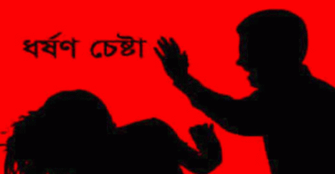 কোম্পানীগঞ্জে পিতৃহীন কিশোরী ভাগ্নিকে ধর্ষণ চেষ্টা,অভিযুক্ত পলাতক