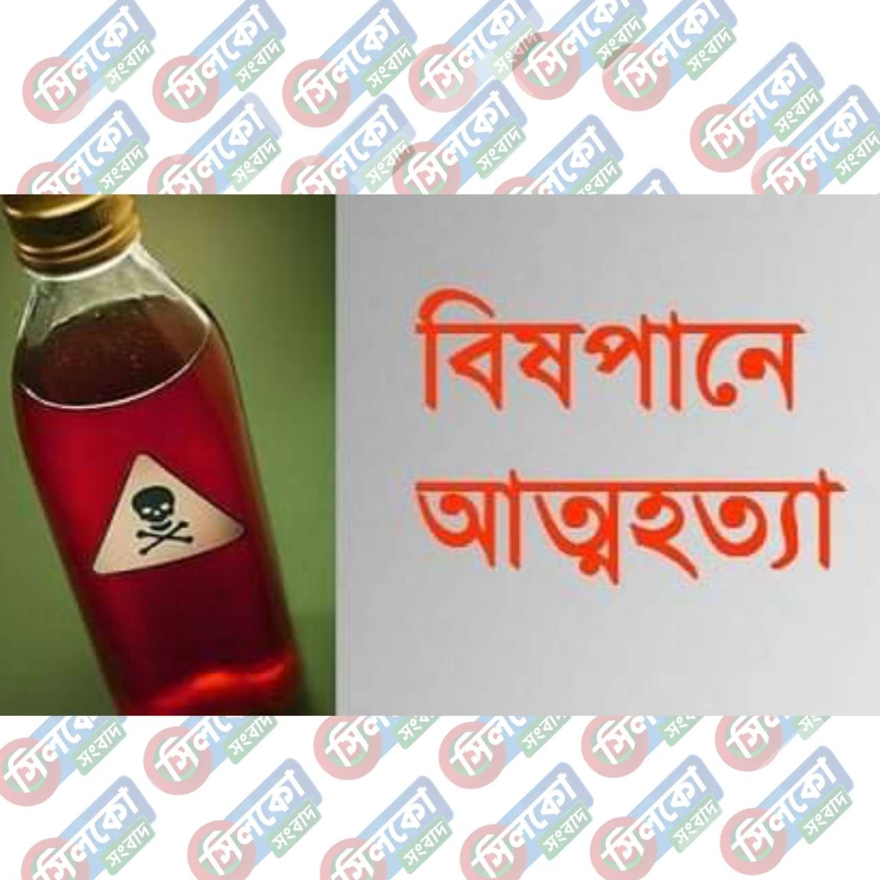 কোম্পানীগঞ্জের বর্ণী-কান্দিবাড়ীতে বিষ পান করে একজনের আত্মহত্যা