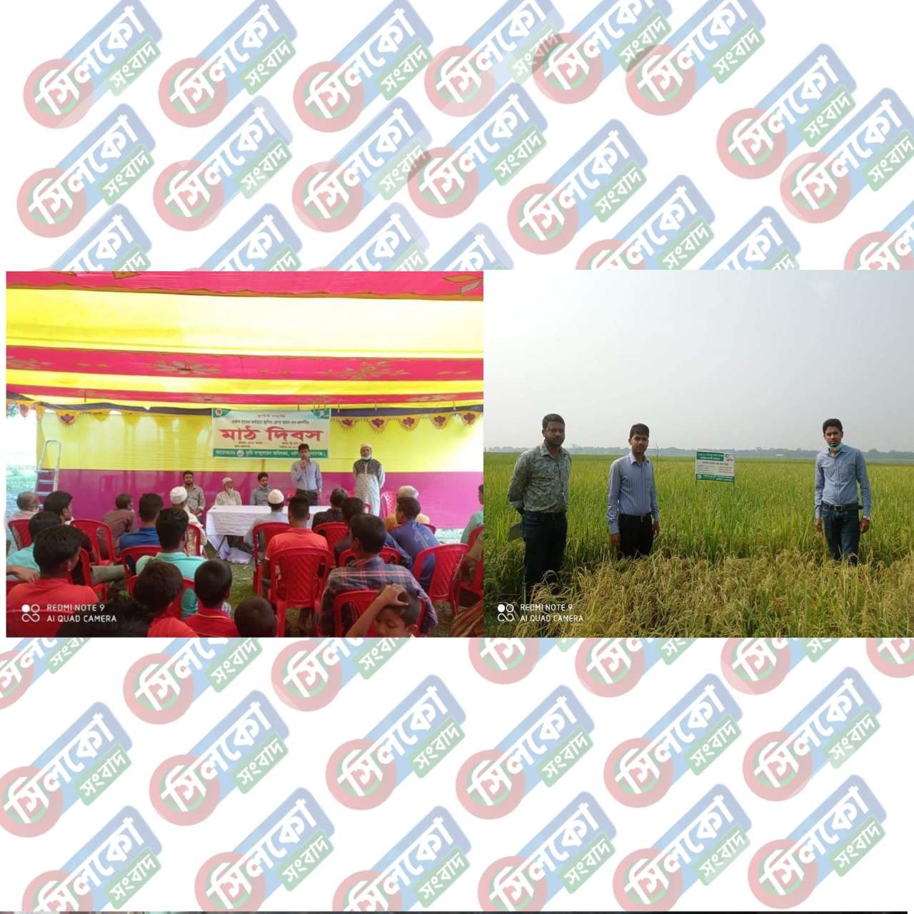 ধর্মপাশায় কিষান কিষানিদের নিয়ে মাঠ দিবস অনুষ্ঠিত