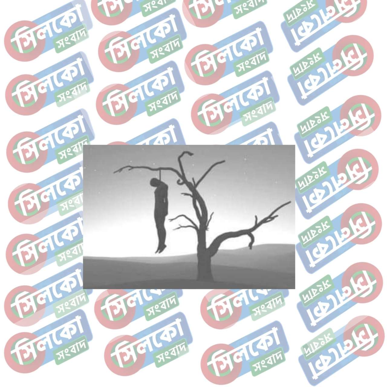 কুলাউড়ায় স্বামীর সাথে ঝগড়া করে গলায় ফাঁস দিয়ে স্ত্রীর আত্মহত্যা