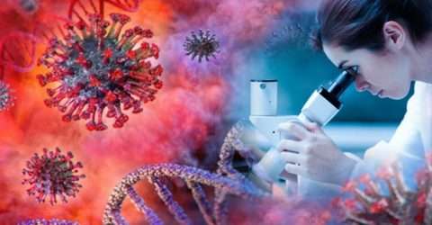 করোনা ভাইরাসের দ্বিতীয় ঢেউয়ের কবলে সমগ্র বিশ্ব,নতুন মৃত্যুর রেকর্ড