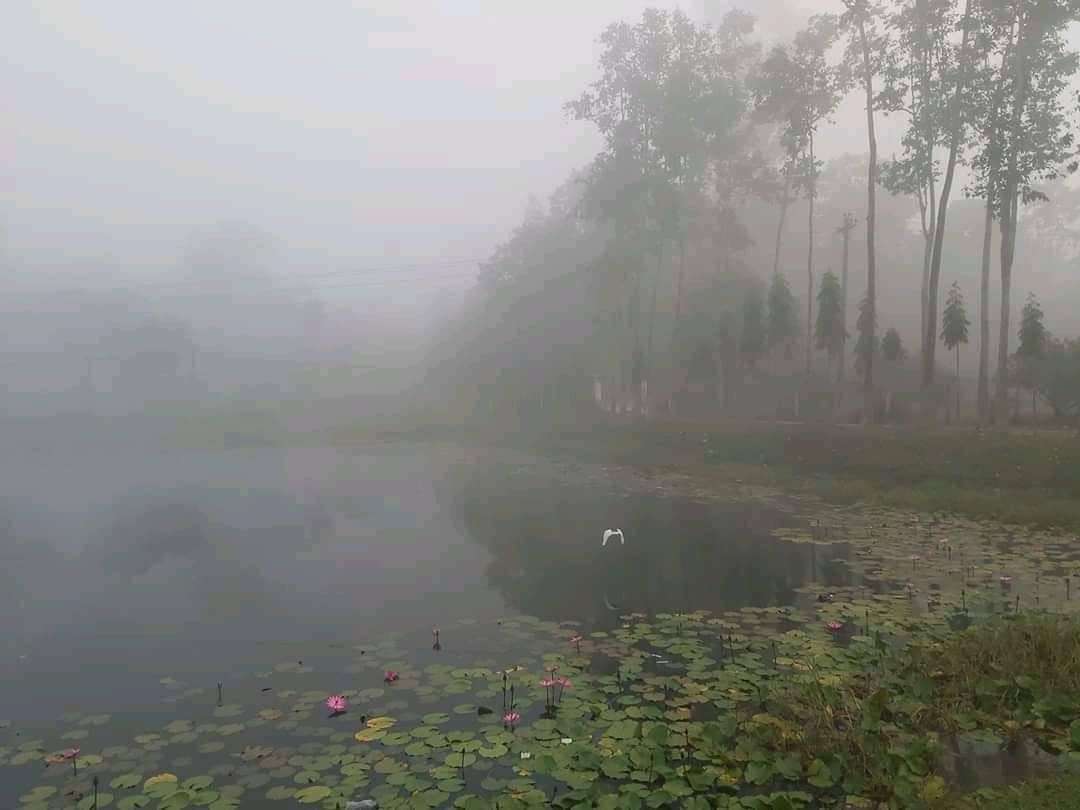 শীতে কাপছে পর্যটন নগরী শ্রীমঙ্গল
