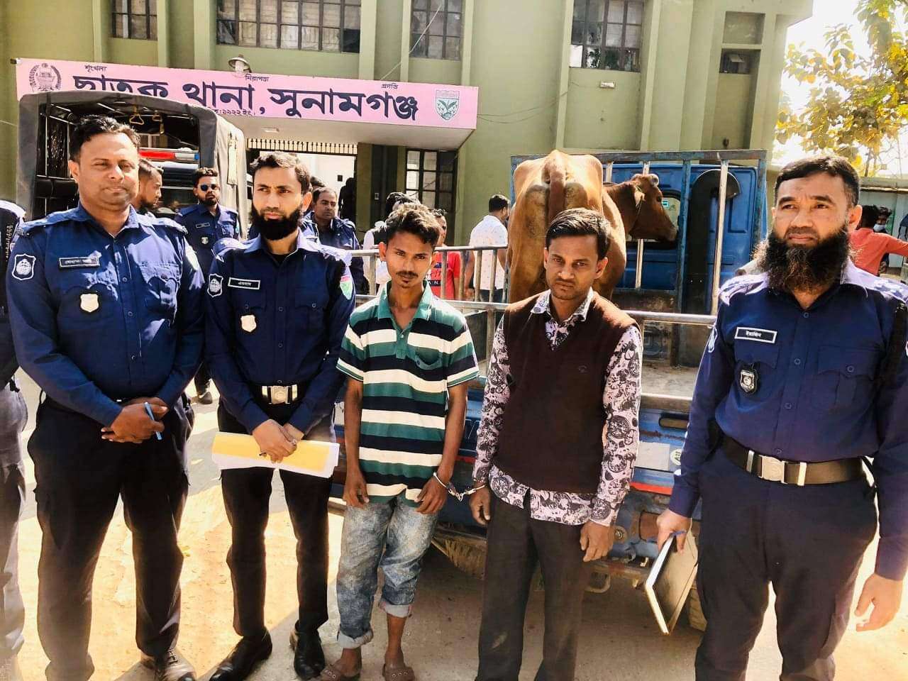 ছাতকে গরু চুরি করার সময় পিকআপ সহ তিন গরু চোর আটক