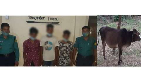 সিলেট এয়ারপোর্ট থানায় কোম্পানীগঞ্জের আকাশ সহ তিন গরু চুর আটক