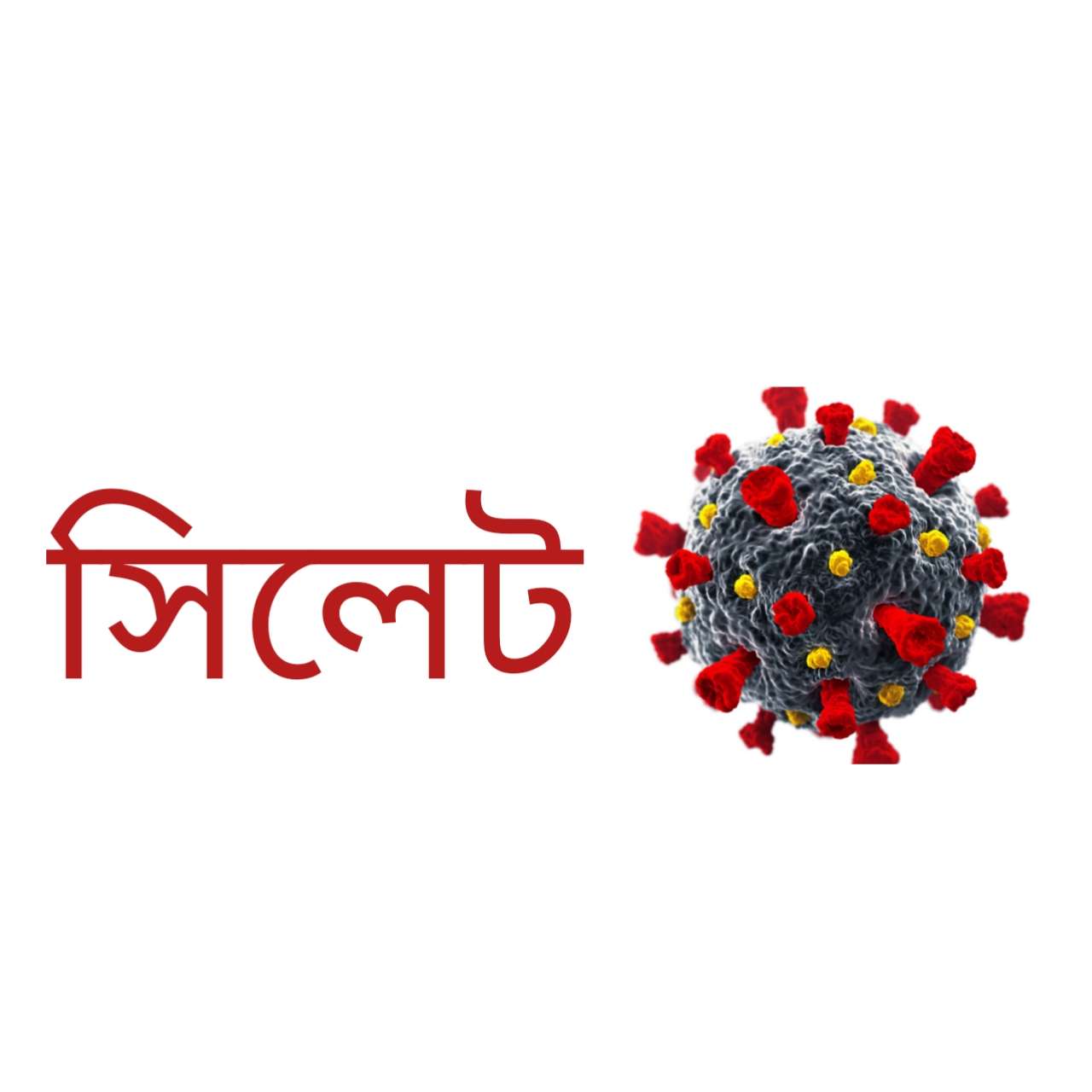 করোনায় ৮ সিলেটির প্রাণহানি