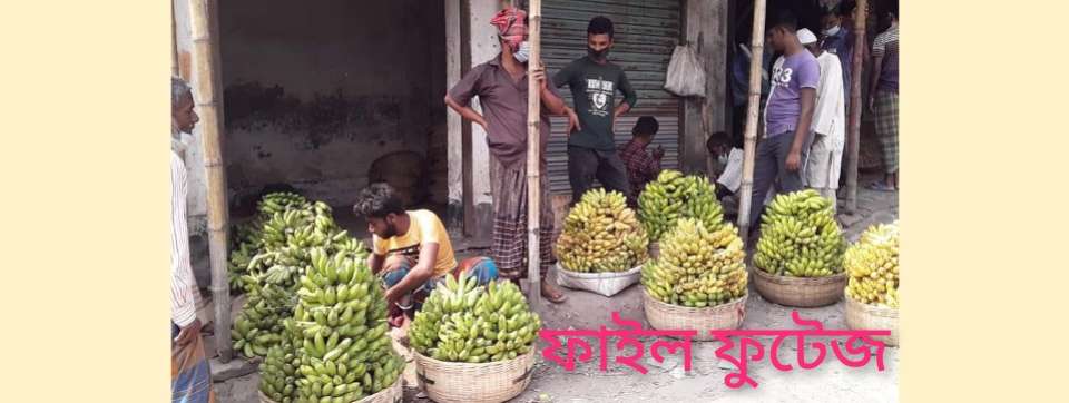 কোম্পানীগঞ্জে কেমিক্যাল দিয়ে কাঁচা কলা পাকানো হচ্ছে