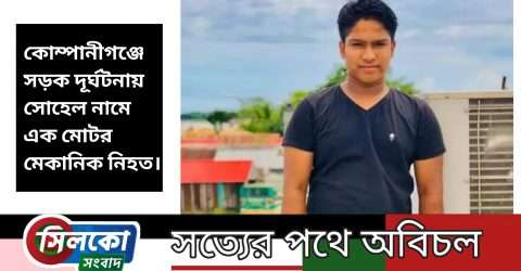 বঙ্গবন্ধু মহাসড়কে প্রাণ গেলো যুবকের