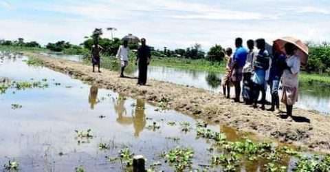 ছাতকে লন্ডন প্রবাসী মোশাহদি আলীর নির্যাতনে অতিষ্ঠ গ্রামবাসী