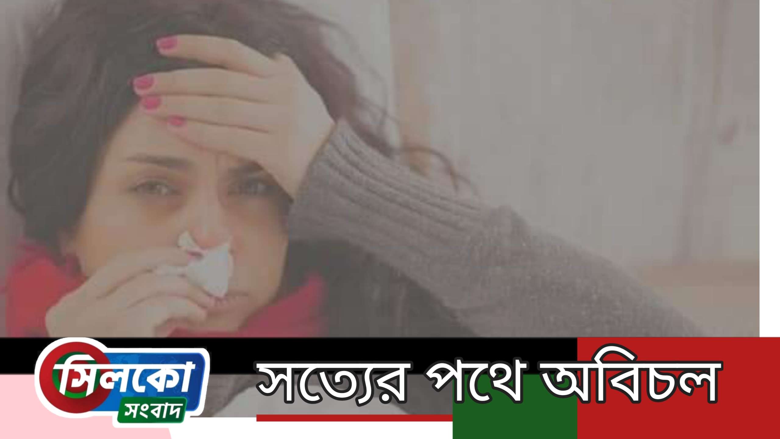 শ্রীমঙ্গলের ঘরে ঘরে বাড়ছে জ্বর -সর্দি-কাশি, আগ্রহ নেই নমুনা পরীক্ষার