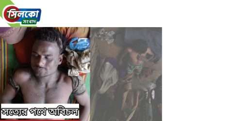 হাওরে মাছ ধরতে গিয়ে কোম্পানীগঞ্জে বজ্রপাতে দুই জন্যের মৃত্যু