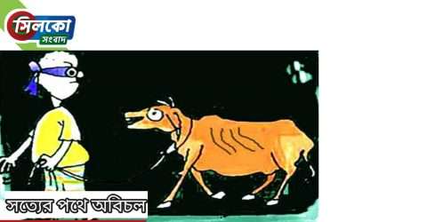 বুড়িচংয়ে বেড়েছে গরু চুরির ঘটনা; রাত জেগে পাহাড়া দিচ্ছে কৃষক